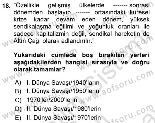 Çalışma Ekonomisi Dersi 2021 - 2022 Yılı (Final) Dönem Sonu Sınav Soruları 18. Soru
