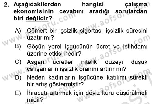 Çalışma Ekonomisi Dersi 2021 - 2022 Yılı (Final) Dönem Sonu Sınav Soruları 2. Soru