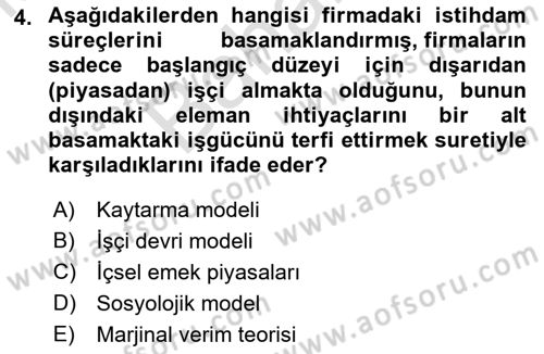 Çalışma Ekonomisi Dersi 2021 - 2022 Yılı (Final) Dönem Sonu Sınav Soruları 4. Soru