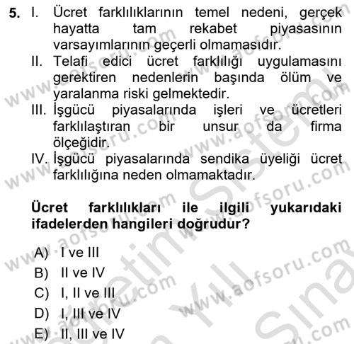 Çalışma Ekonomisi Dersi 2021 - 2022 Yılı (Final) Dönem Sonu Sınav Soruları 5. Soru