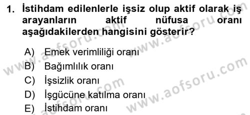 Çalışma Ekonomisi Dersi 2021 - 2022 Yılı Yaz Okulu Sınav Soruları 1. Soru