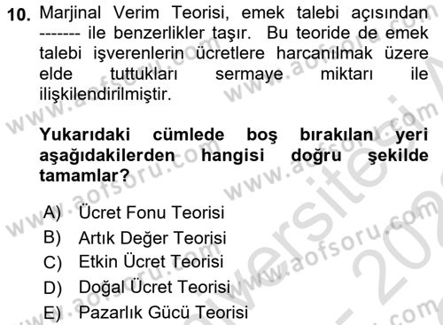 Çalışma Ekonomisi Dersi 2021 - 2022 Yılı Yaz Okulu Sınav Soruları 10. Soru