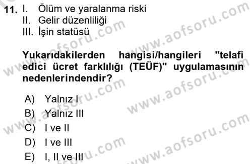 Çalışma Ekonomisi Dersi 2021 - 2022 Yılı Yaz Okulu Sınav Soruları 11. Soru