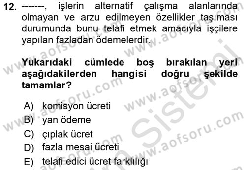 Çalışma Ekonomisi Dersi 2021 - 2022 Yılı Yaz Okulu Sınav Soruları 12. Soru