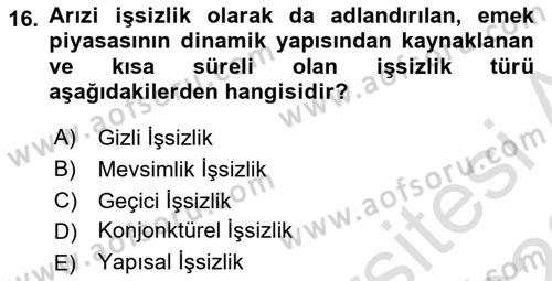 Çalışma Ekonomisi Dersi 2021 - 2022 Yılı Yaz Okulu Sınav Soruları 16. Soru