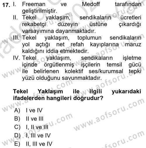 Çalışma Ekonomisi Dersi 2021 - 2022 Yılı Yaz Okulu Sınav Soruları 17. Soru