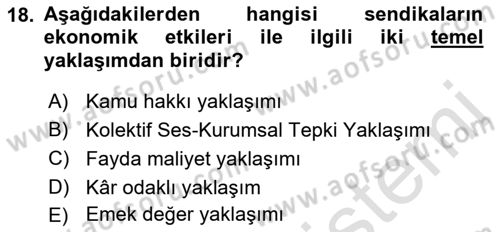 Çalışma Ekonomisi Dersi 2021 - 2022 Yılı Yaz Okulu Sınav Soruları 18. Soru