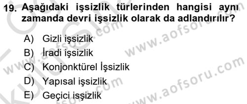 Çalışma Ekonomisi Dersi 2021 - 2022 Yılı Yaz Okulu Sınav Soruları 19. Soru