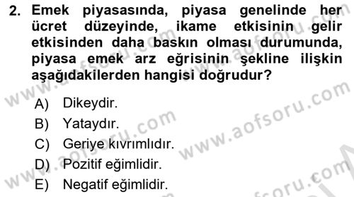 Çalışma Ekonomisi Dersi 2021 - 2022 Yılı Yaz Okulu Sınav Soruları 2. Soru