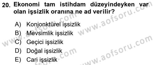 Çalışma Ekonomisi Dersi 2021 - 2022 Yılı Yaz Okulu Sınav Soruları 20. Soru