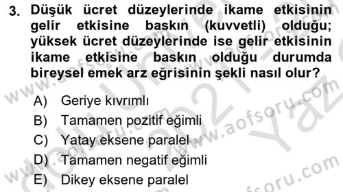 Çalışma Ekonomisi Dersi 2021 - 2022 Yılı Yaz Okulu Sınav Soruları 3. Soru