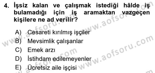 Çalışma Ekonomisi Dersi 2021 - 2022 Yılı Yaz Okulu Sınav Soruları 4. Soru