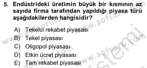 Çalışma Ekonomisi Dersi 2021 - 2022 Yılı Yaz Okulu Sınav Soruları 5. Soru