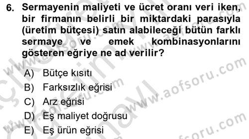Çalışma Ekonomisi Dersi 2021 - 2022 Yılı Yaz Okulu Sınav Soruları 6. Soru