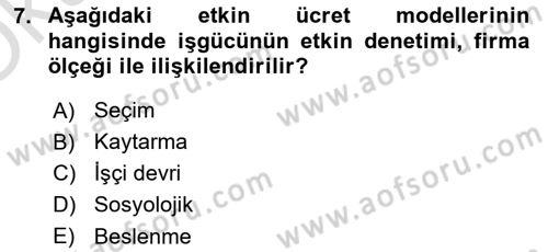 Çalışma Ekonomisi Dersi 2021 - 2022 Yılı Yaz Okulu Sınav Soruları 7. Soru