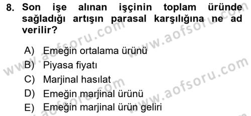 Çalışma Ekonomisi Dersi 2021 - 2022 Yılı Yaz Okulu Sınav Soruları 8. Soru