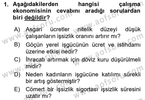 Çalışma Ekonomisi Dersi 2022 - 2023 Yılı Yaz Okulu Sınav Soruları 1. Soru