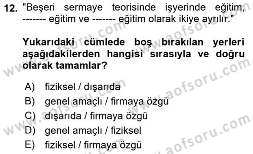 Çalışma Ekonomisi Dersi 2022 - 2023 Yılı Yaz Okulu Sınav Soruları 12. Soru