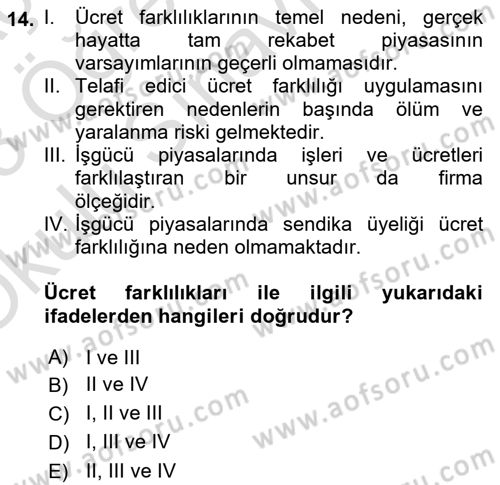 Çalışma Ekonomisi Dersi 2022 - 2023 Yılı Yaz Okulu Sınav Soruları 14. Soru