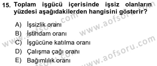 Çalışma Ekonomisi Dersi 2022 - 2023 Yılı Yaz Okulu Sınav Soruları 15. Soru