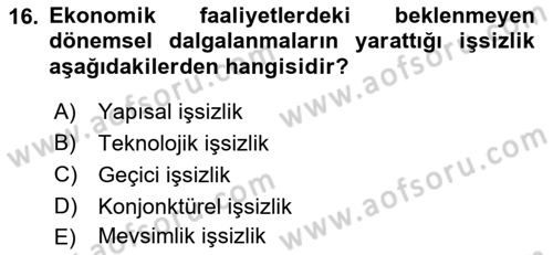 Çalışma Ekonomisi Dersi 2022 - 2023 Yılı Yaz Okulu Sınav Soruları 16. Soru