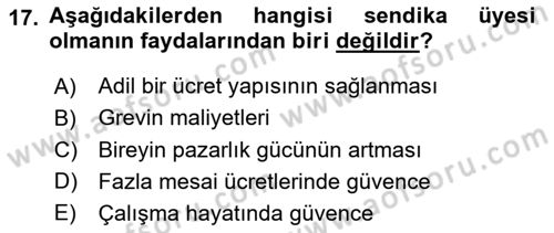 Çalışma Ekonomisi Dersi 2022 - 2023 Yılı Yaz Okulu Sınav Soruları 17. Soru