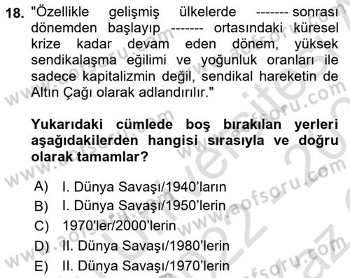 Çalışma Ekonomisi Dersi 2022 - 2023 Yılı Yaz Okulu Sınav Soruları 18. Soru