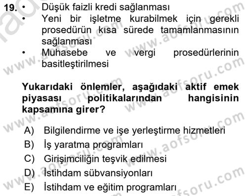 Çalışma Ekonomisi Dersi 2022 - 2023 Yılı Yaz Okulu Sınav Soruları 19. Soru