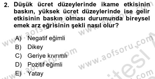 Çalışma Ekonomisi Dersi 2022 - 2023 Yılı Yaz Okulu Sınav Soruları 2. Soru