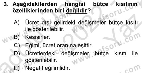 Çalışma Ekonomisi Dersi 2022 - 2023 Yılı Yaz Okulu Sınav Soruları 3. Soru