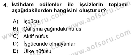 Çalışma Ekonomisi Dersi 2022 - 2023 Yılı Yaz Okulu Sınav Soruları 4. Soru