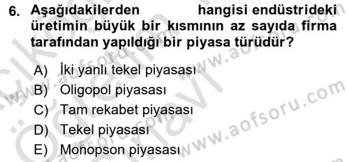Çalışma Ekonomisi Dersi 2022 - 2023 Yılı Yaz Okulu Sınav Soruları 6. Soru