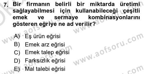 Çalışma Ekonomisi Dersi 2022 - 2023 Yılı Yaz Okulu Sınav Soruları 7. Soru