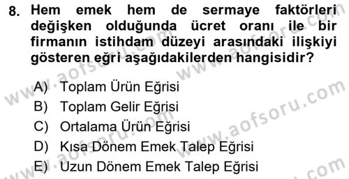 Çalışma Ekonomisi Dersi 2022 - 2023 Yılı Yaz Okulu Sınav Soruları 8. Soru
