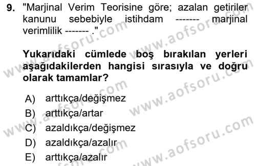 Çalışma Ekonomisi Dersi 2022 - 2023 Yılı Yaz Okulu Sınav Soruları 9. Soru