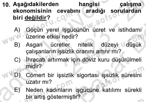 Çalışma Ekonomisi Dersi 2023 - 2024 Yılı (Vize) Ara Sınav Soruları 10. Soru