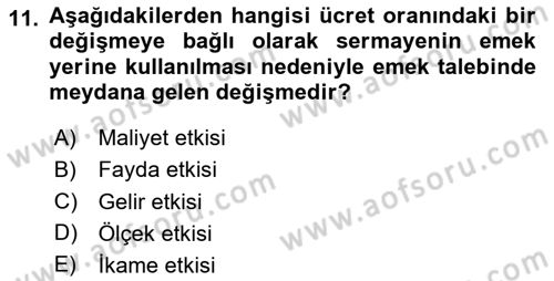Çalışma Ekonomisi Dersi 2023 - 2024 Yılı (Vize) Ara Sınav Soruları 11. Soru