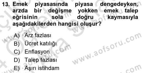 Çalışma Ekonomisi Dersi 2023 - 2024 Yılı (Vize) Ara Sınav Soruları 13. Soru