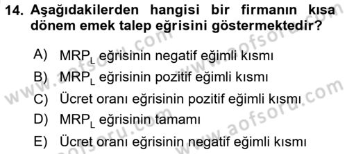 Çalışma Ekonomisi Dersi 2023 - 2024 Yılı (Vize) Ara Sınav Soruları 14. Soru
