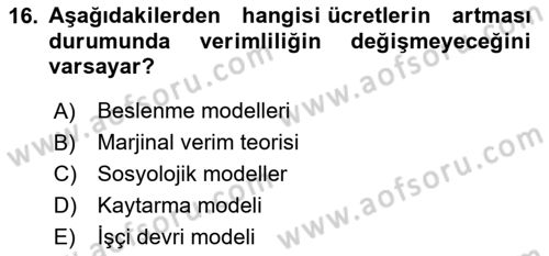 Çalışma Ekonomisi Dersi 2023 - 2024 Yılı (Vize) Ara Sınav Soruları 16. Soru