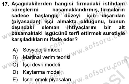 Çalışma Ekonomisi Dersi 2023 - 2024 Yılı (Vize) Ara Sınav Soruları 17. Soru