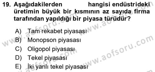 Çalışma Ekonomisi Dersi 2023 - 2024 Yılı (Vize) Ara Sınav Soruları 19. Soru