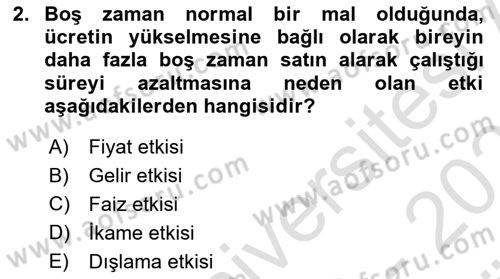 Çalışma Ekonomisi Dersi 2023 - 2024 Yılı (Vize) Ara Sınav Soruları 2. Soru