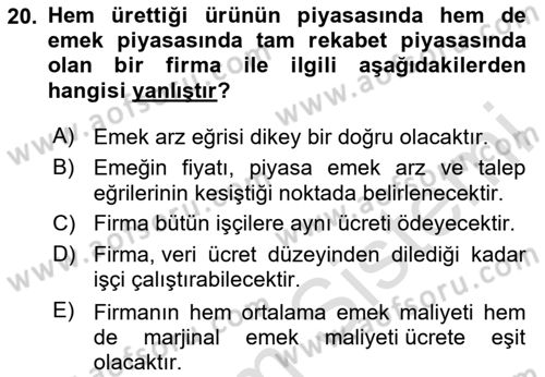 Çalışma Ekonomisi Dersi 2023 - 2024 Yılı (Vize) Ara Sınav Soruları 20. Soru