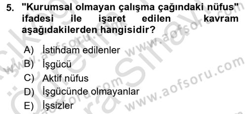 Çalışma Ekonomisi Dersi 2023 - 2024 Yılı (Vize) Ara Sınav Soruları 5. Soru