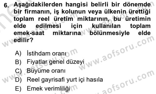 Çalışma Ekonomisi Dersi 2023 - 2024 Yılı (Vize) Ara Sınav Soruları 6. Soru
