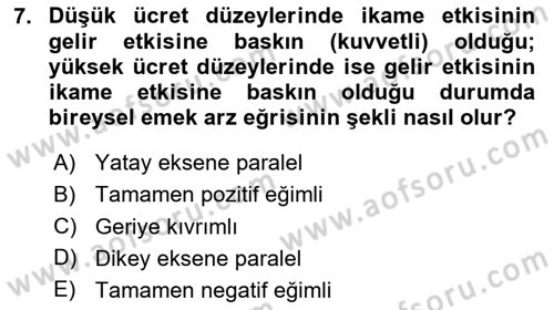 Çalışma Ekonomisi Dersi 2023 - 2024 Yılı (Vize) Ara Sınav Soruları 7. Soru