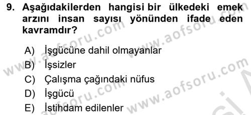 Çalışma Ekonomisi Dersi 2023 - 2024 Yılı (Vize) Ara Sınav Soruları 9. Soru