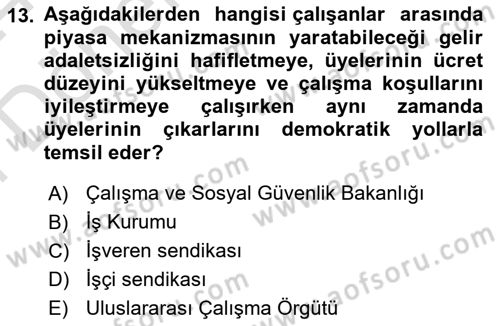Çalışma Ekonomisi Dersi 2023 - 2024 Yılı (Final) Dönem Sonu Sınav Soruları 13. Soru