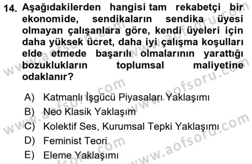 Çalışma Ekonomisi Dersi 2023 - 2024 Yılı (Final) Dönem Sonu Sınav Soruları 14. Soru